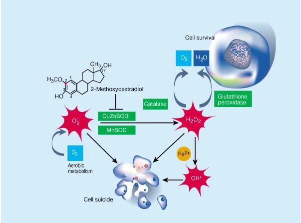 购物车 首页 资讯 商城 转化 the specifics of membrane fusion the
